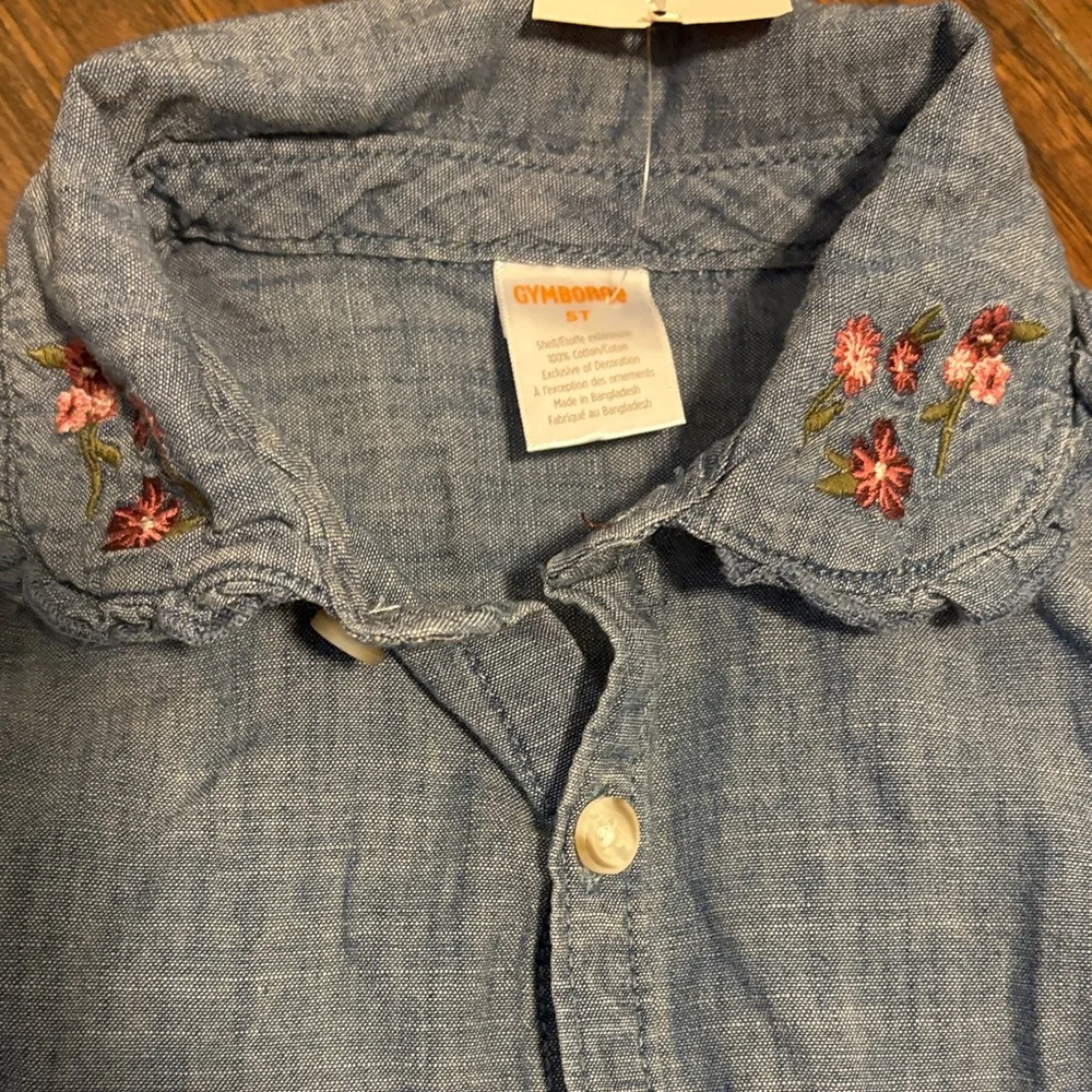Gymboree Chambray Dress with Floral Embroidery
